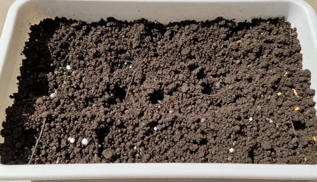 种植技术指导选型关注点及常见问题处理